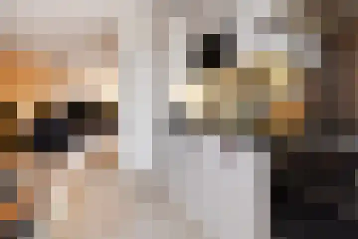 Noraschouw 2 Zoetermeer thumbnail 18