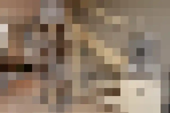 Noraschouw 2 Zoetermeer thumbnail 23
