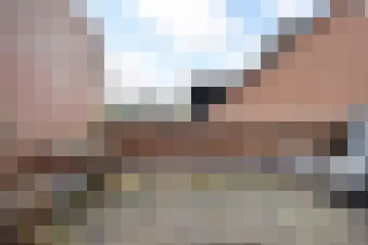 Noraschouw 2 Zoetermeer thumbnail 24