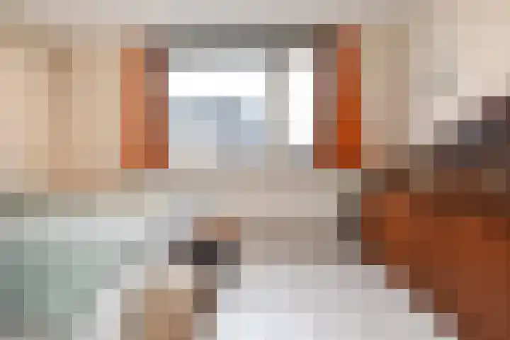 Noraschouw 2 Zoetermeer thumbnail 28