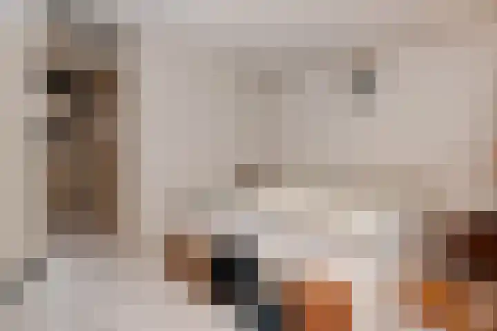 Noraschouw 2 Zoetermeer thumbnail 29