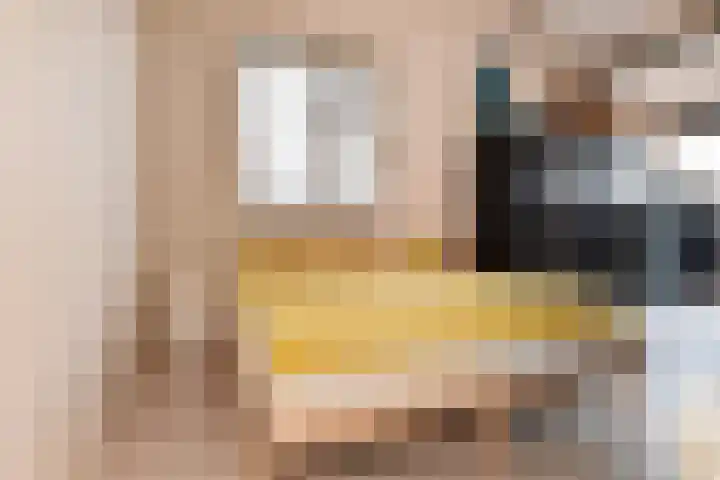 Noraschouw 2 Zoetermeer thumbnail 30