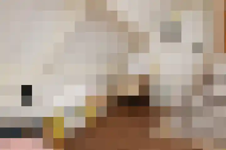 Noraschouw 2 Zoetermeer thumbnail 37