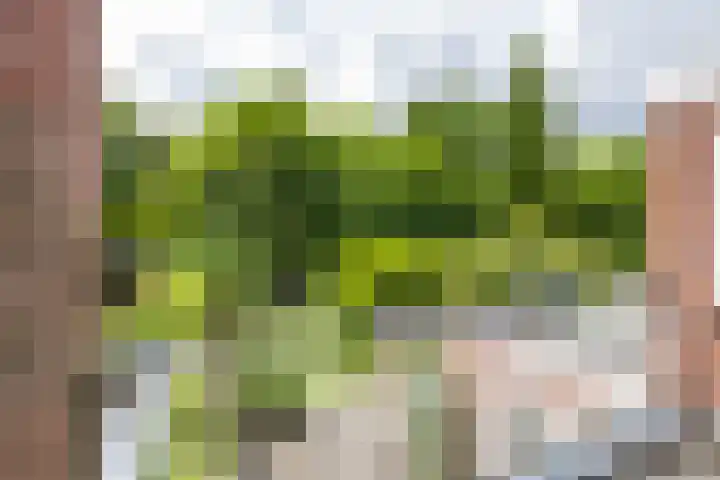 Norbartstraat 13 Made thumbnail 7