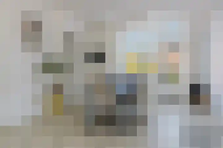 Norbartstraat 22 Etten-Leur thumbnail 14