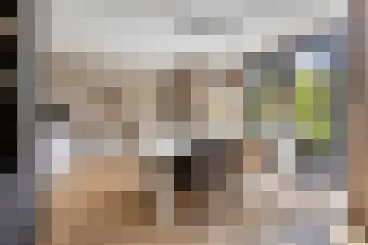 Norbertijnenlaan 24 Alphen aan den Rijn thumbnail 11