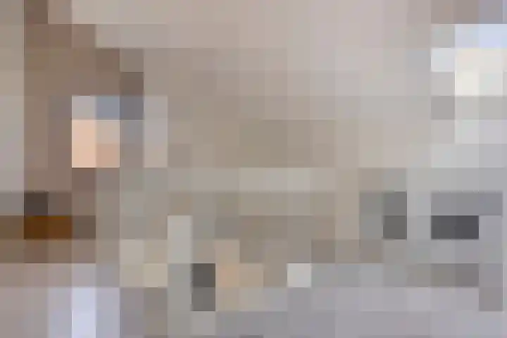 Norbertijnenlaan 24 Alphen aan den Rijn thumbnail 29