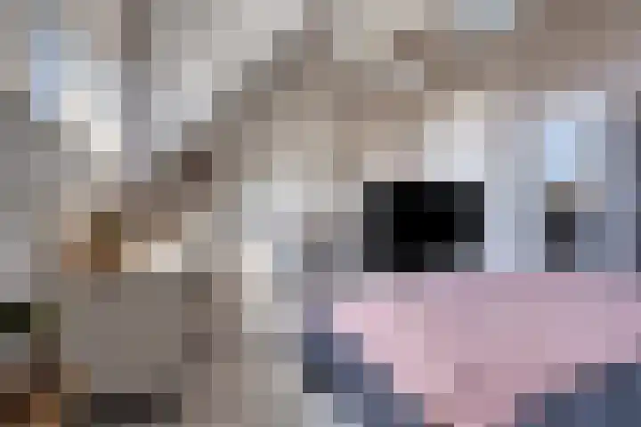 Norbertijnenlaan 24 Alphen aan den Rijn thumbnail 32