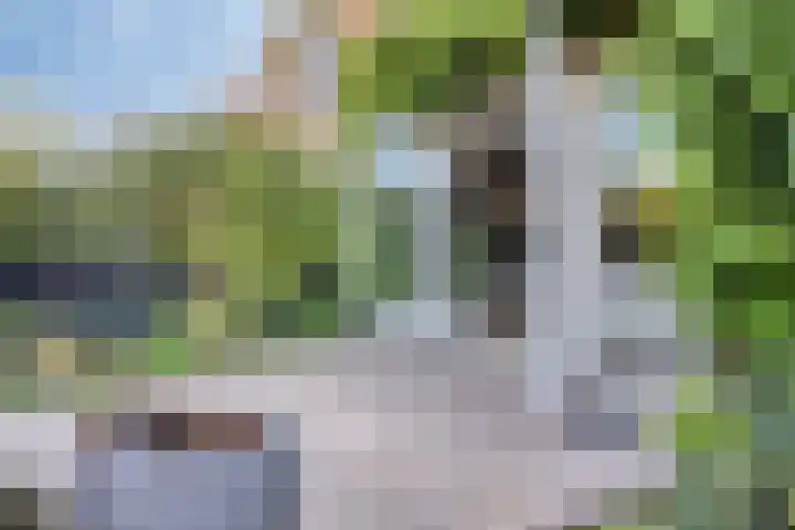 Norbertijnenlaan 24 Alphen aan den Rijn thumbnail 36