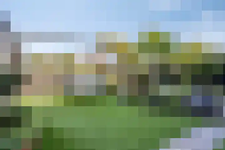 Norbertijnenlaan 24 Alphen aan den Rijn thumbnail 38