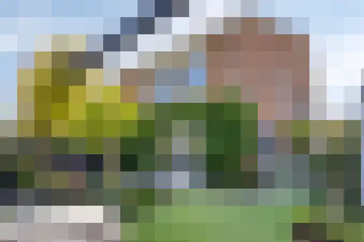 Norbertijnenlaan 24 Alphen aan den Rijn thumbnail 39