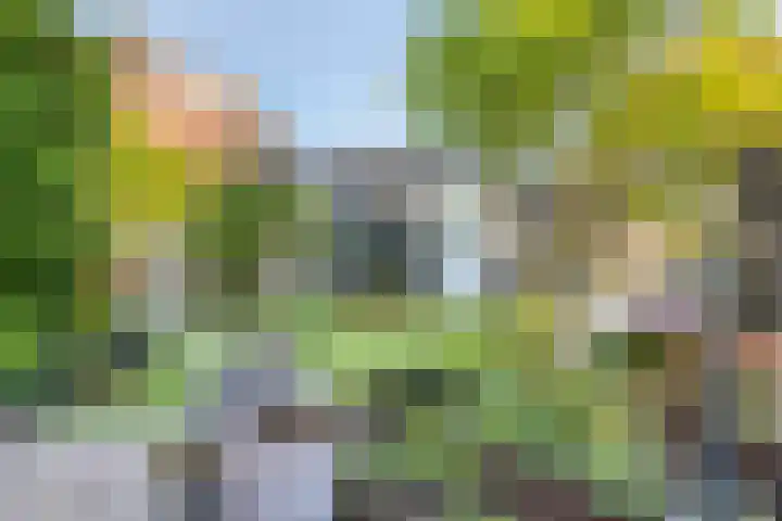 Norbertijnenlaan 24 Alphen aan den Rijn thumbnail 43