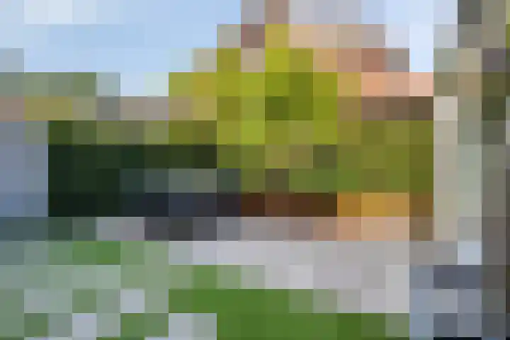 Norbertijnenlaan 24 Alphen aan den Rijn thumbnail 44