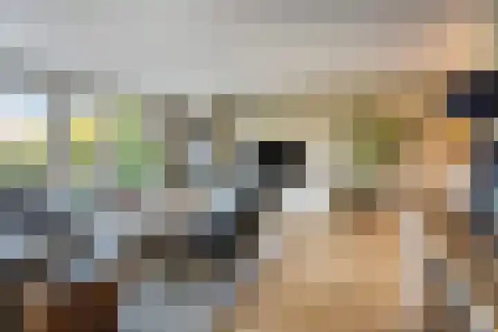 Norbertijnenlaan 24 Alphen aan den Rijn thumbnail 5