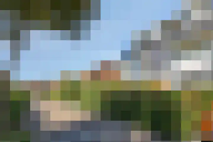 Norbertijnenlaan 24 Alphen aan den Rijn thumbnail 52