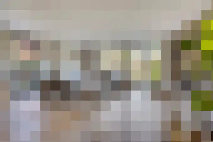 Norbertijnenlaan 24 Alphen aan den Rijn thumbnail 6