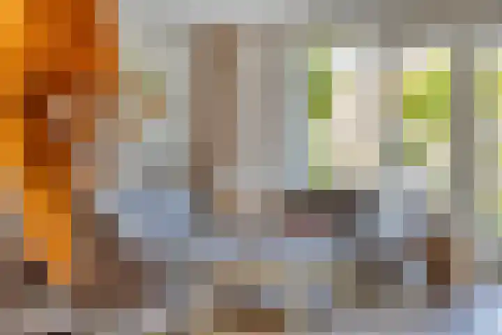 Norbertijnenlaan 24 Alphen aan den Rijn thumbnail 7