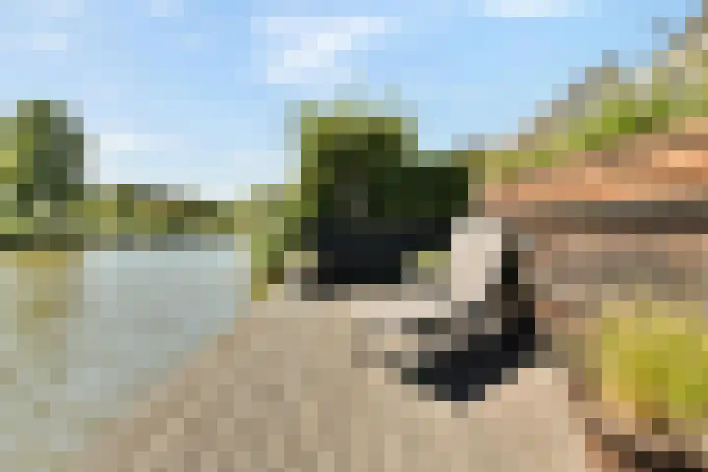 Norbertijnenlaan 84 Alphen aan den Rijn thumbnail 18