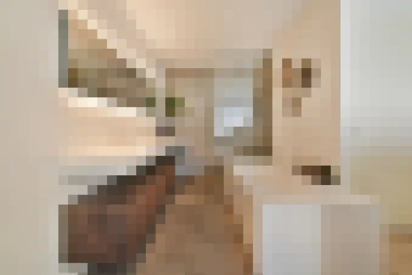 Norbertijnenlaan 84 Alphen aan den Rijn thumbnail 25