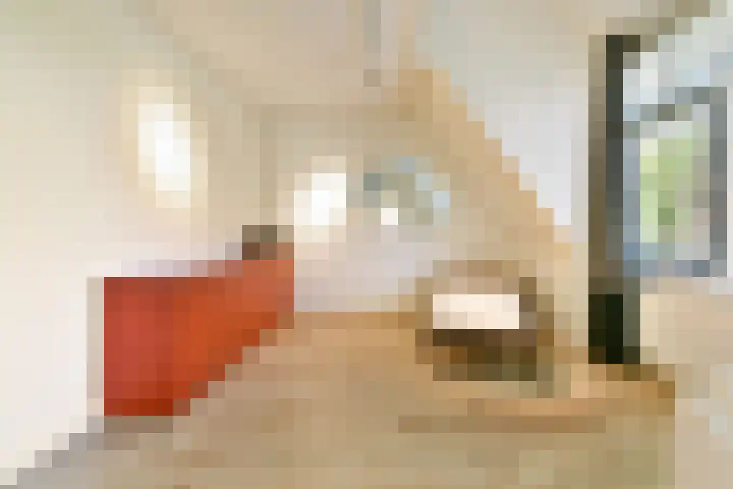 Norbertijnenlaan 84 Alphen aan den Rijn thumbnail 28