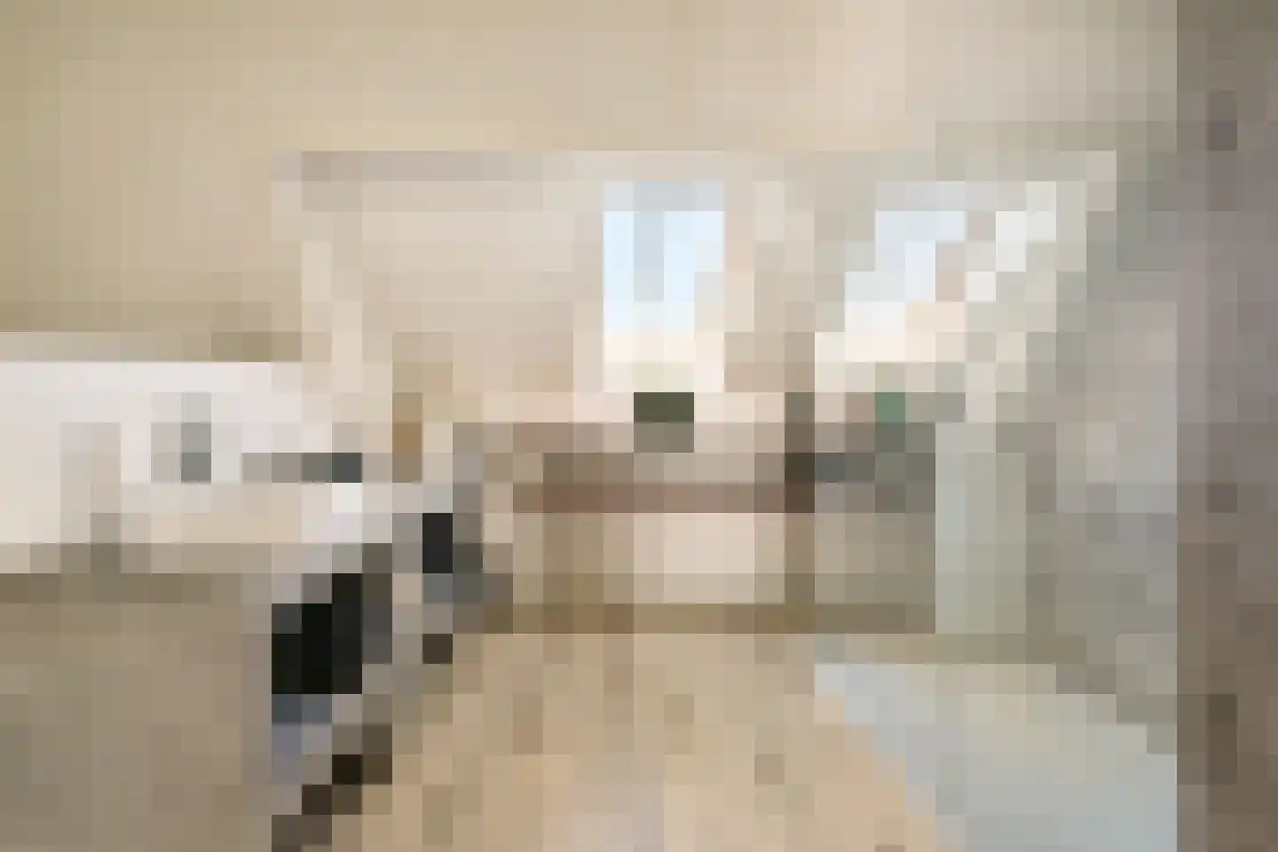 Norbertijnenlaan 84 Alphen aan den Rijn thumbnail 32