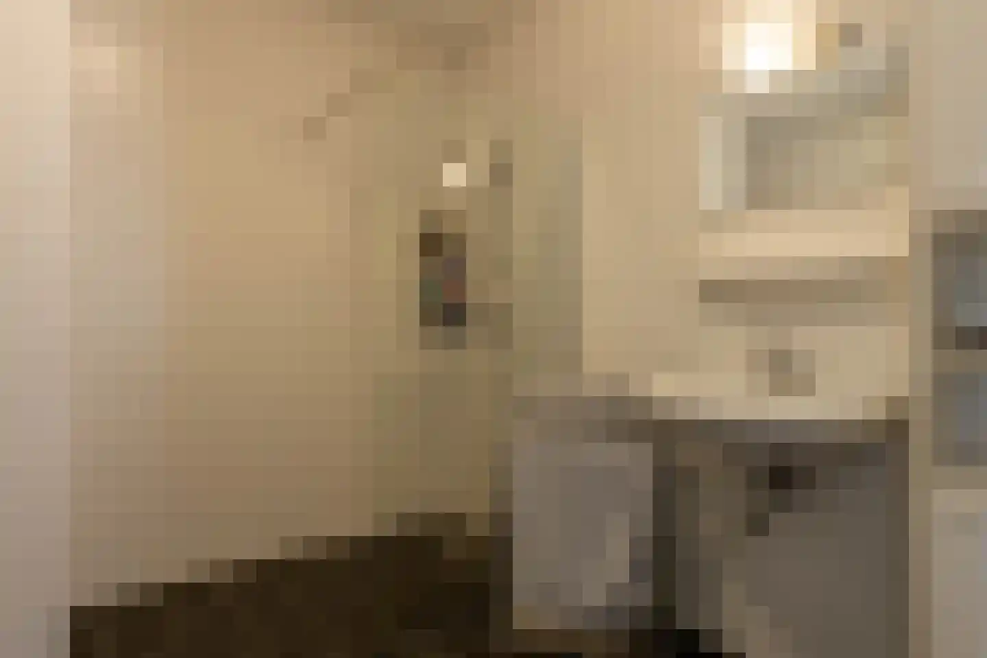 Norbertijnenpad 27 Berlicum thumbnail 22