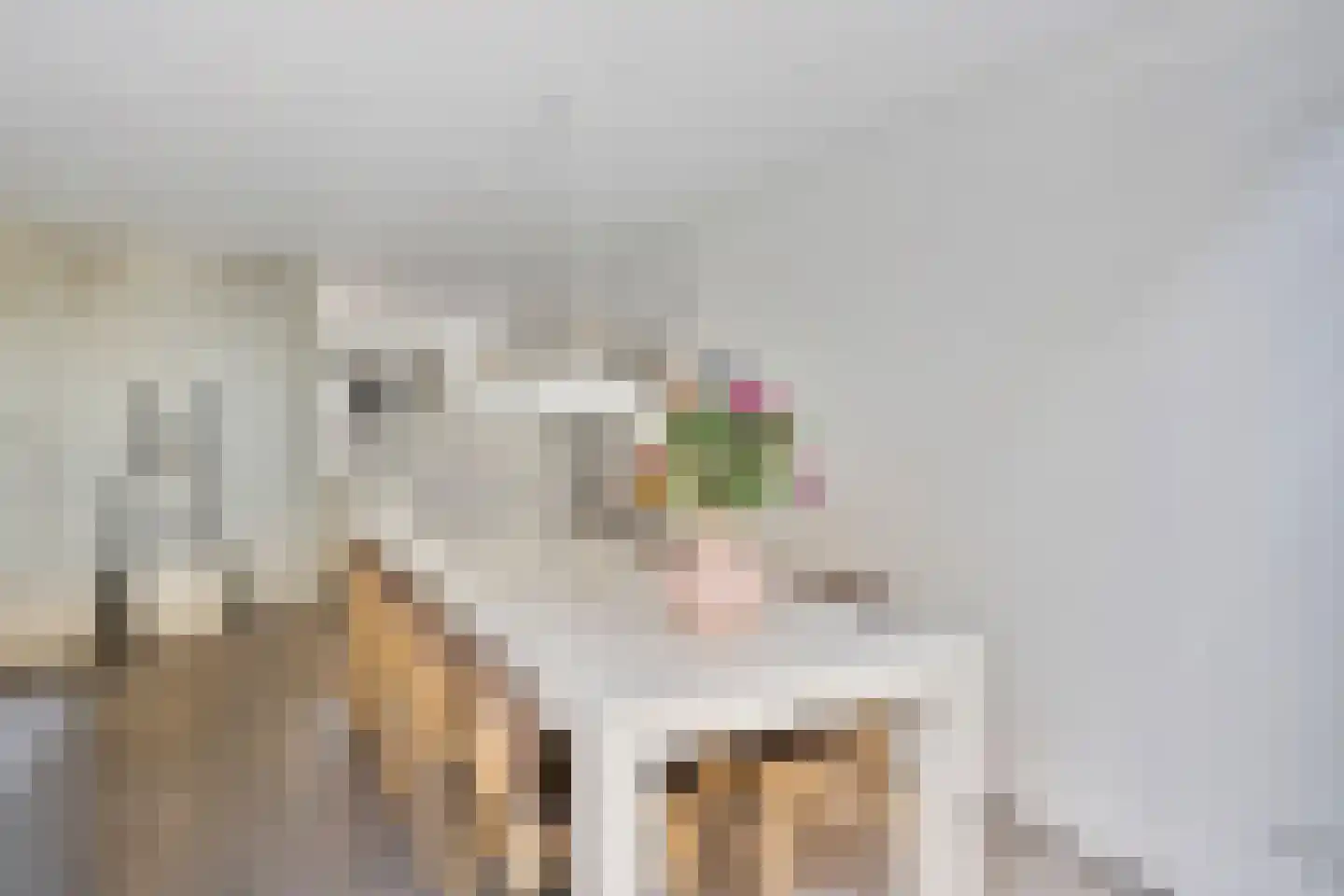 Norbertijnenstraat 11 Arnhem thumbnail 11