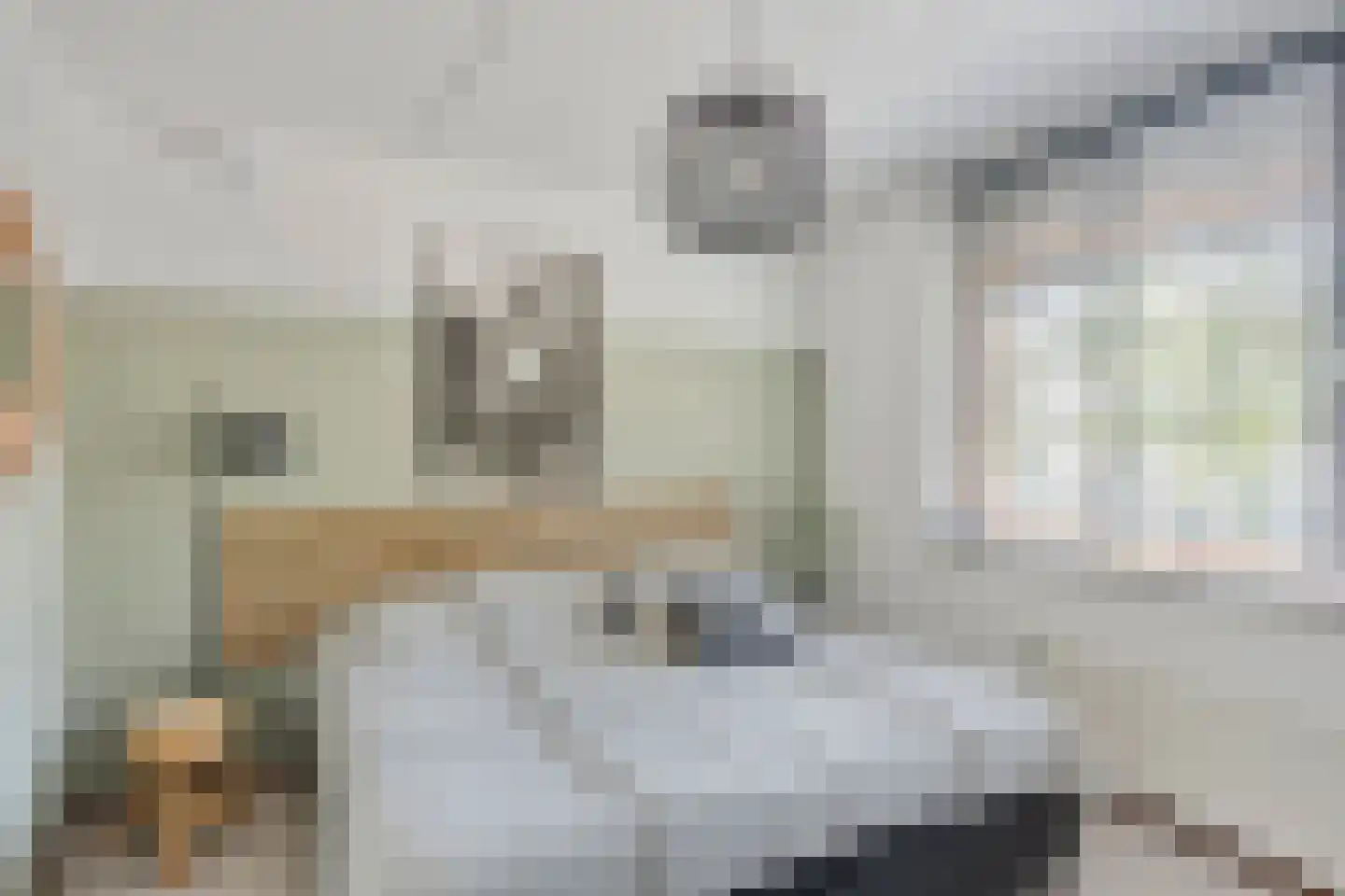Norbertijnenstraat 11 Arnhem thumbnail 17