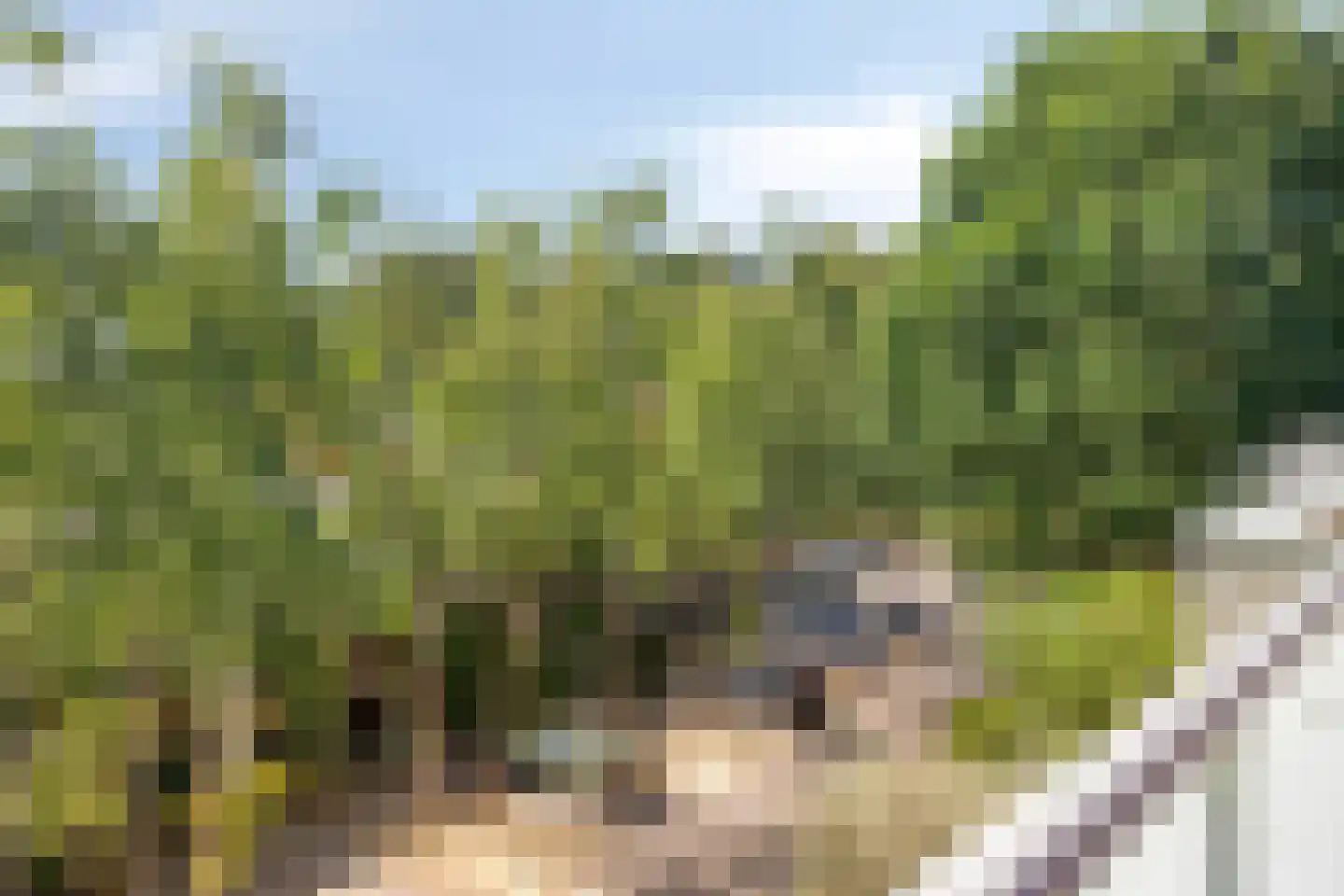 Norbertijnenstraat 11 Arnhem thumbnail 31