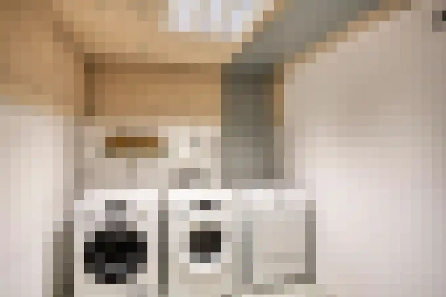 Norbertijnenstraat 11 Arnhem thumbnail 35