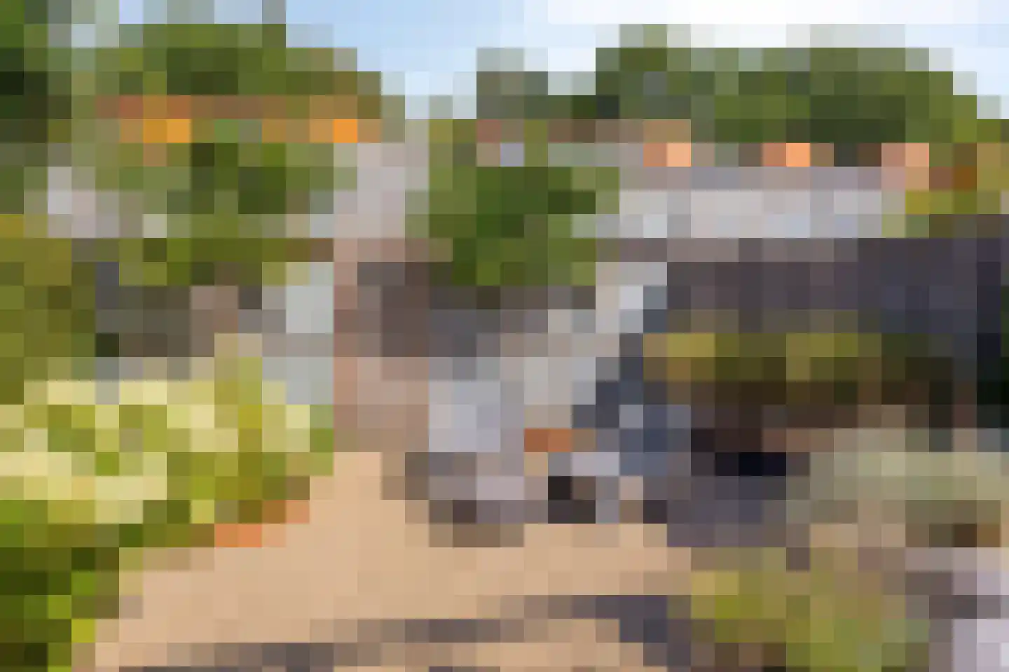 Norbertijnenstraat 11 Arnhem thumbnail 41