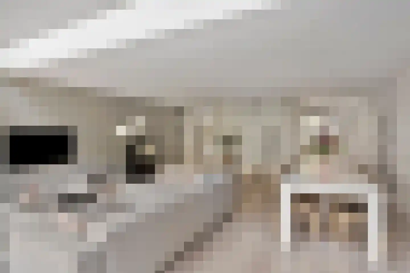 Norbertijnenstraat 11 Arnhem thumbnail 8