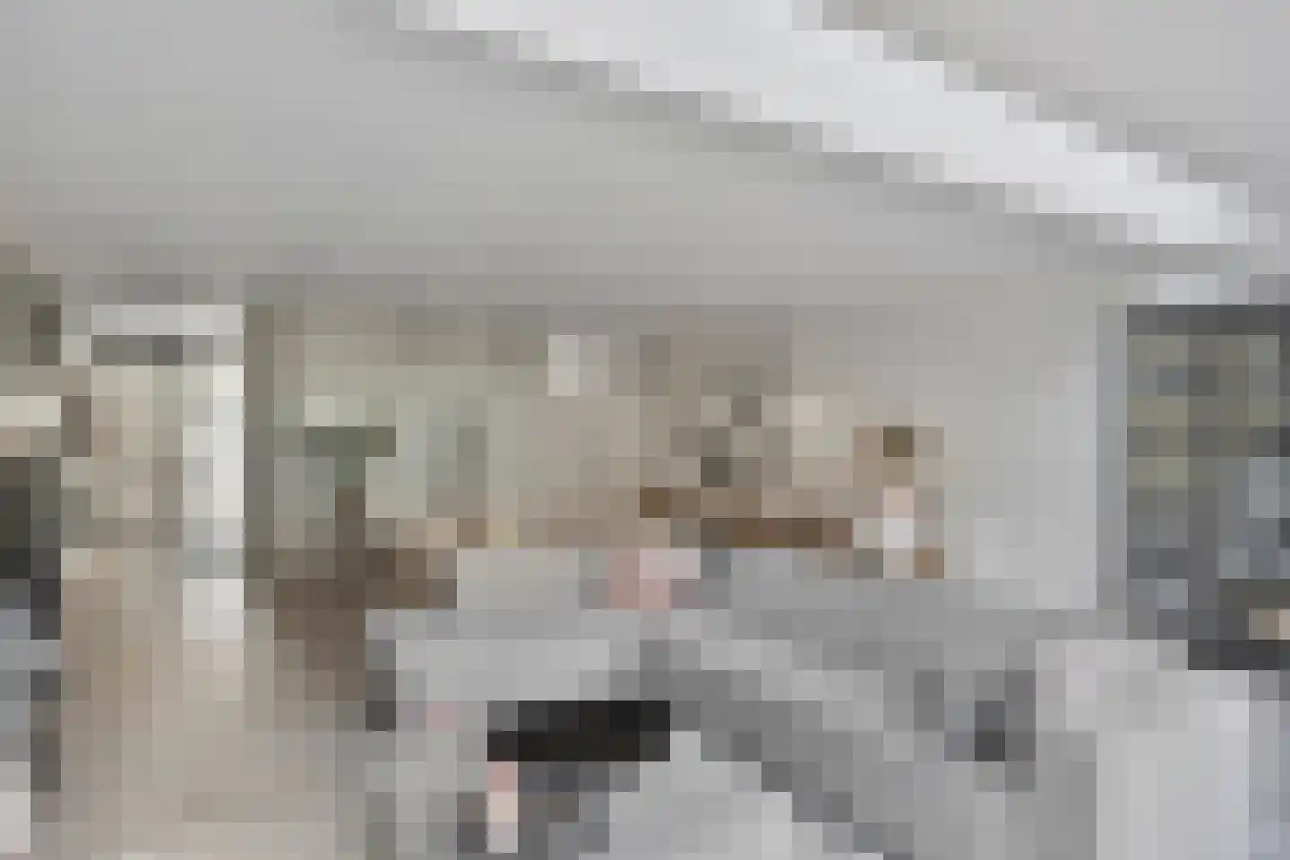 Norbertijnenstraat 11 Arnhem thumbnail 9