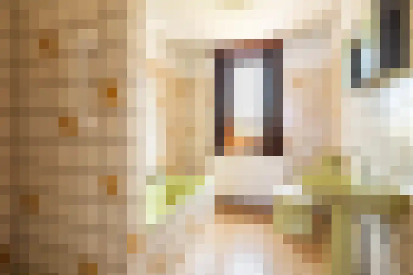 Norbertijnenstraat 11 Geleen thumbnail 10