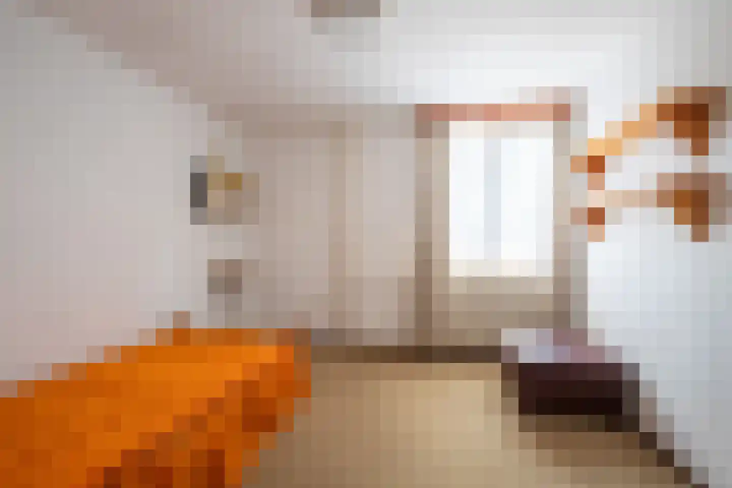 Norbertijnenstraat 11 Geleen thumbnail 12