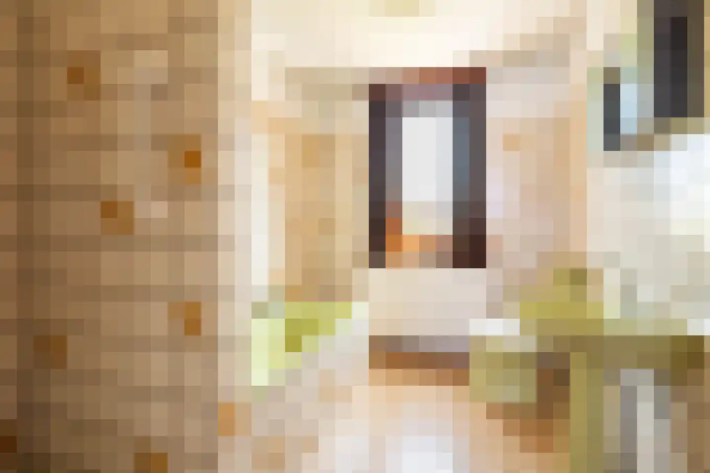 Norbertijnenstraat 11 Geleen thumbnail 15