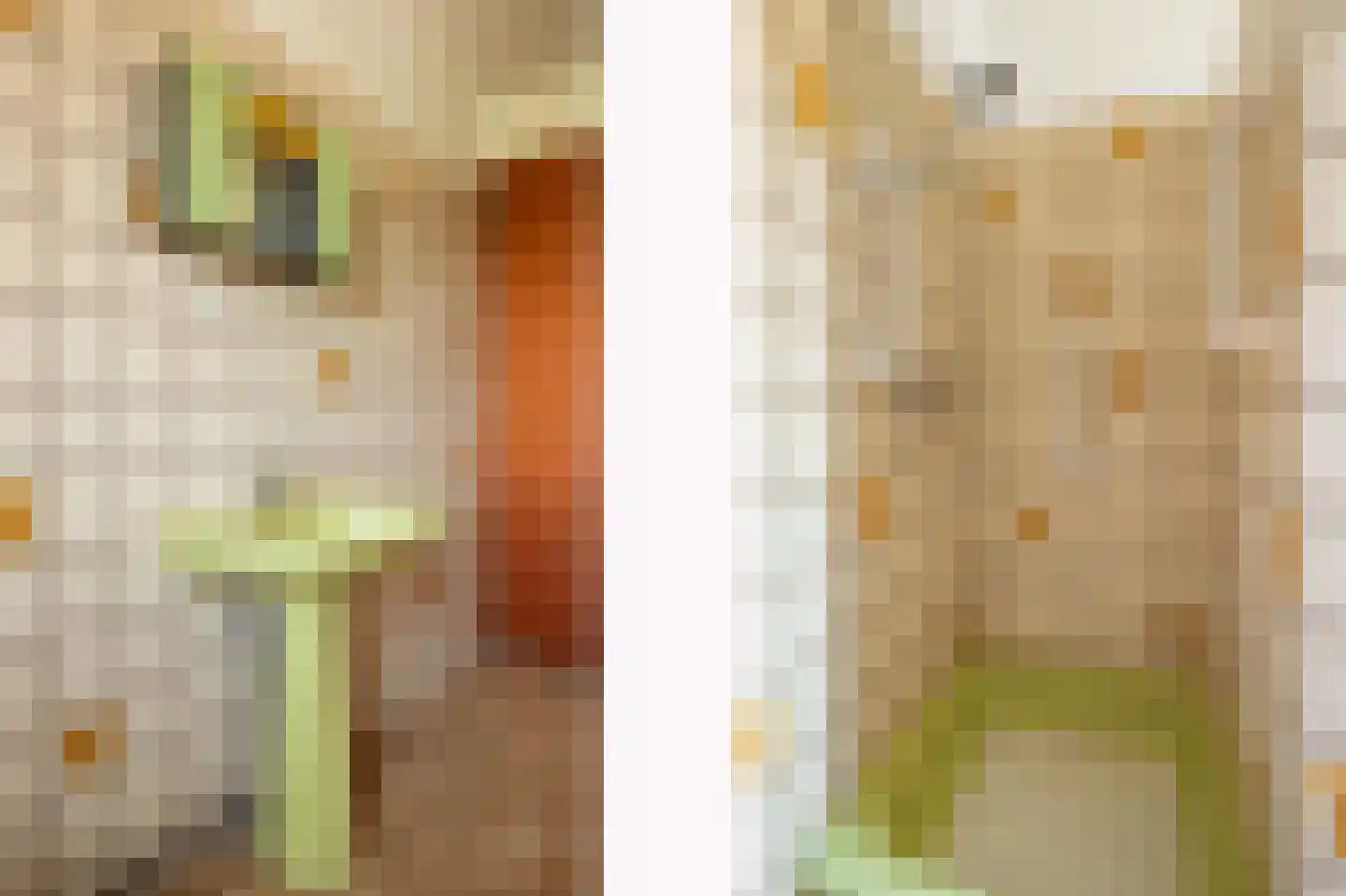 Norbertijnenstraat 11 Geleen thumbnail 16