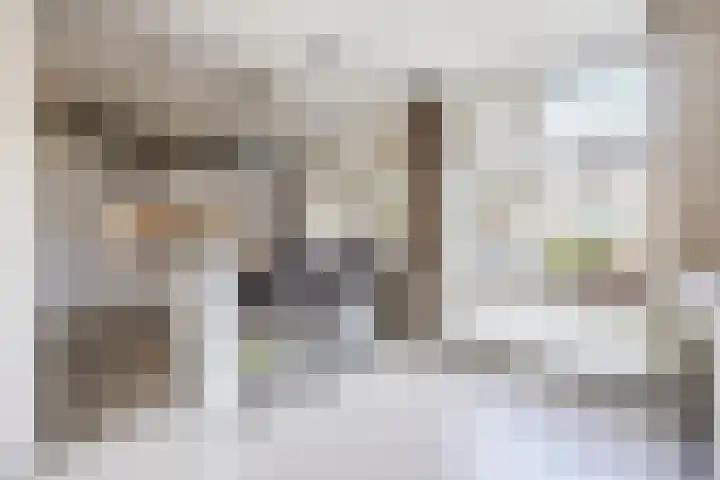 Norbertijnenstraat 16 Hengstdijk thumbnail 10
