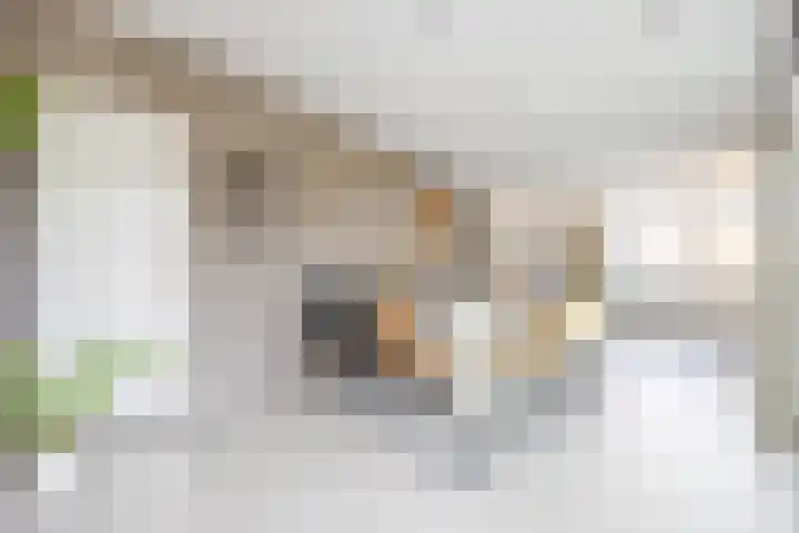 Norbertijnenstraat 16 Hengstdijk thumbnail 15