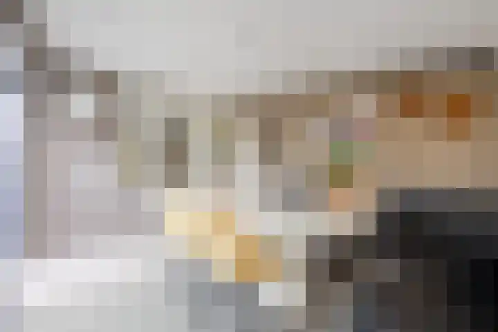 Norbertijnenstraat 16 Hengstdijk thumbnail 16