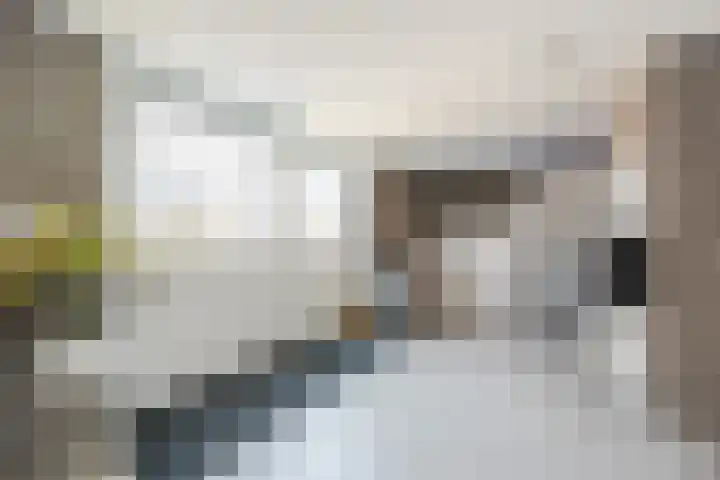 Norbertijnenstraat 16 Hengstdijk thumbnail 17