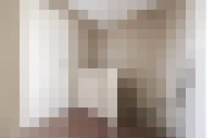 Norbertijnenstraat 16 Hengstdijk thumbnail 19