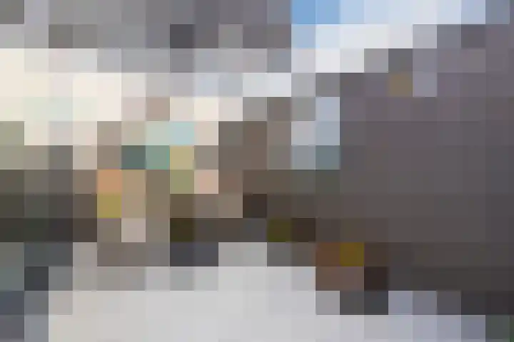 Norbertijnenstraat 16 Hengstdijk thumbnail 28
