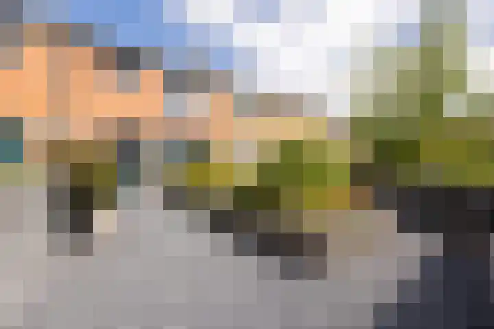 Norbertijnenstraat 16 Hengstdijk thumbnail 35