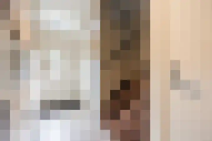 Norbertijnenstraat 16 Hengstdijk thumbnail 6