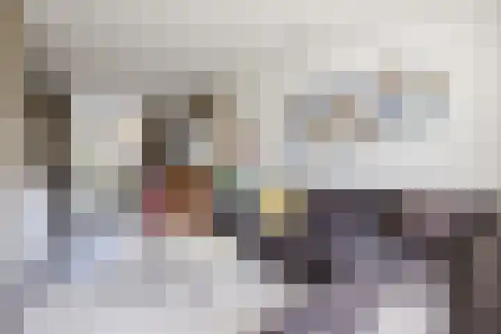 Norbertijnenstraat 16 Hengstdijk thumbnail 8