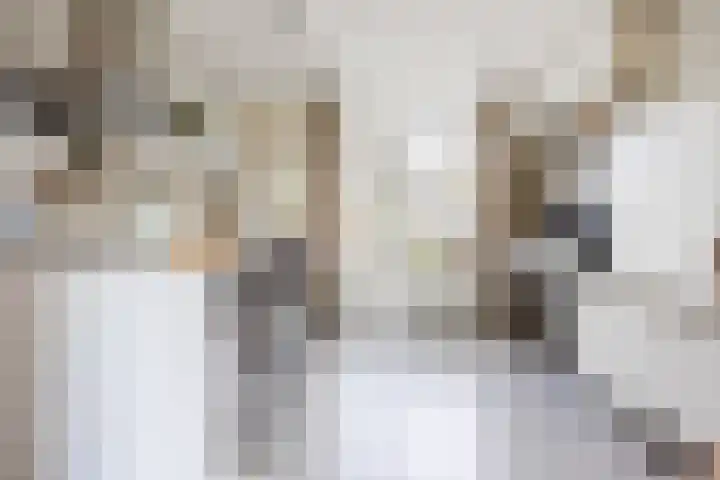 Norbertijnenstraat 16 Hengstdijk thumbnail 9