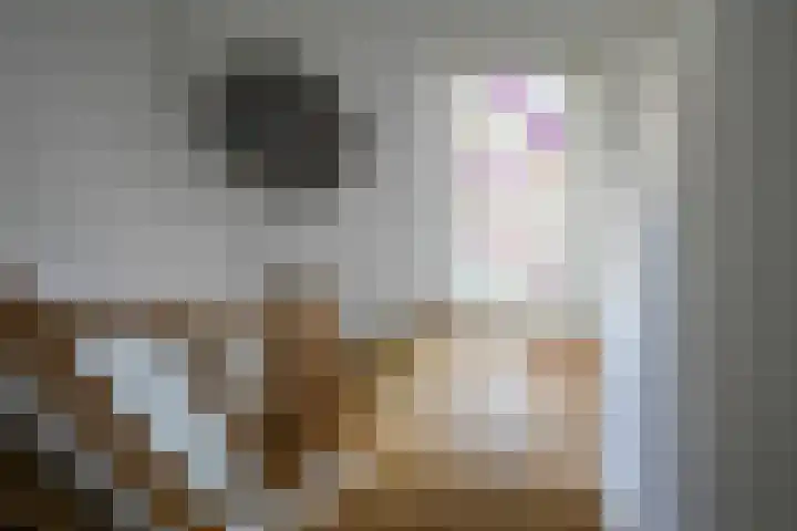 Norbertijnenstraat 20 Geleen thumbnail 17