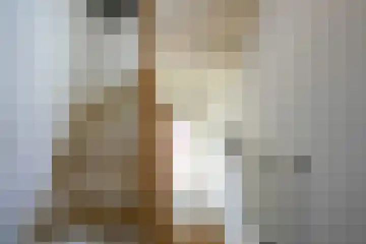Norbertijnenstraat 20 Geleen thumbnail 26