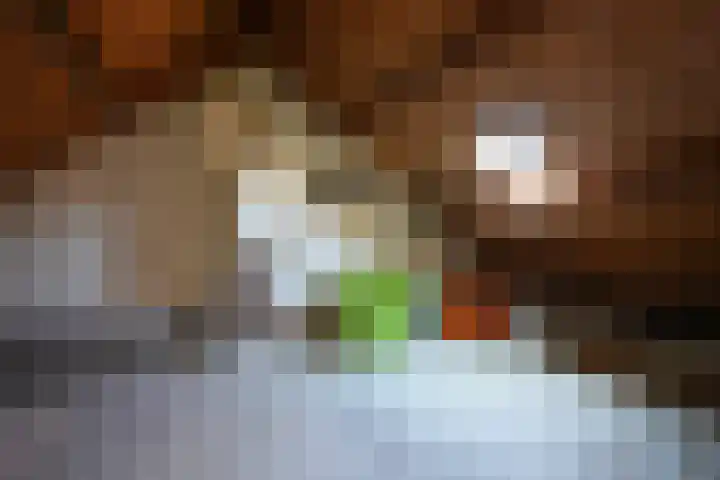 Norbertijnenstraat 20 Geleen thumbnail 27
